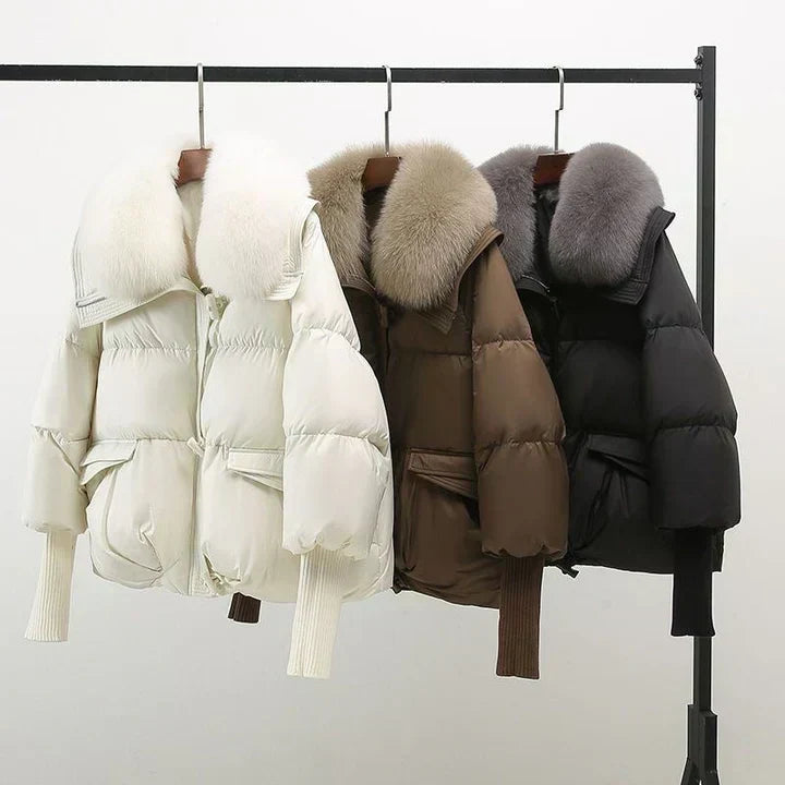 Eloise | Women&